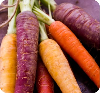 Heirloom Purple Carrots