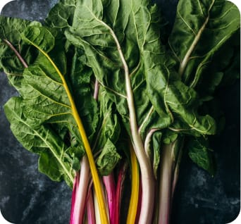 Organic Rainbow Chard