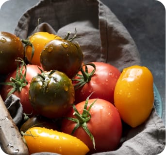 Heirloom Tomato Collection