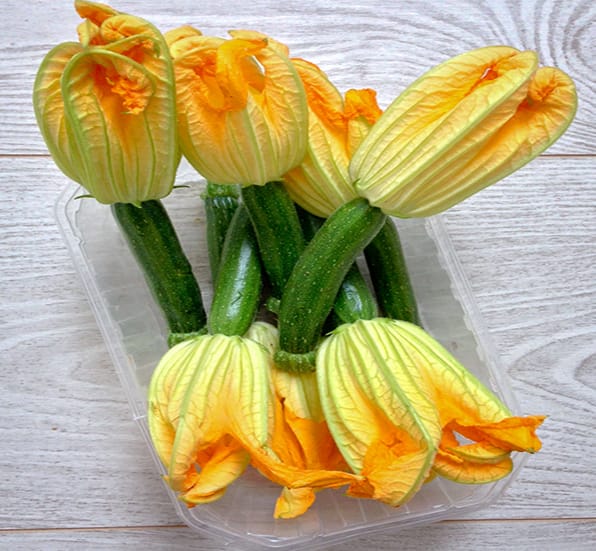 Organic Zucchini Blossoms